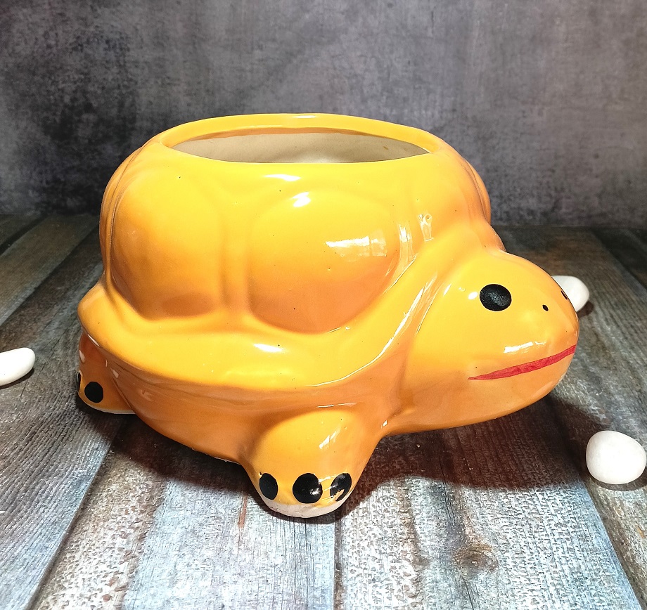 Turtle Ceramic Pot - ECP5044 